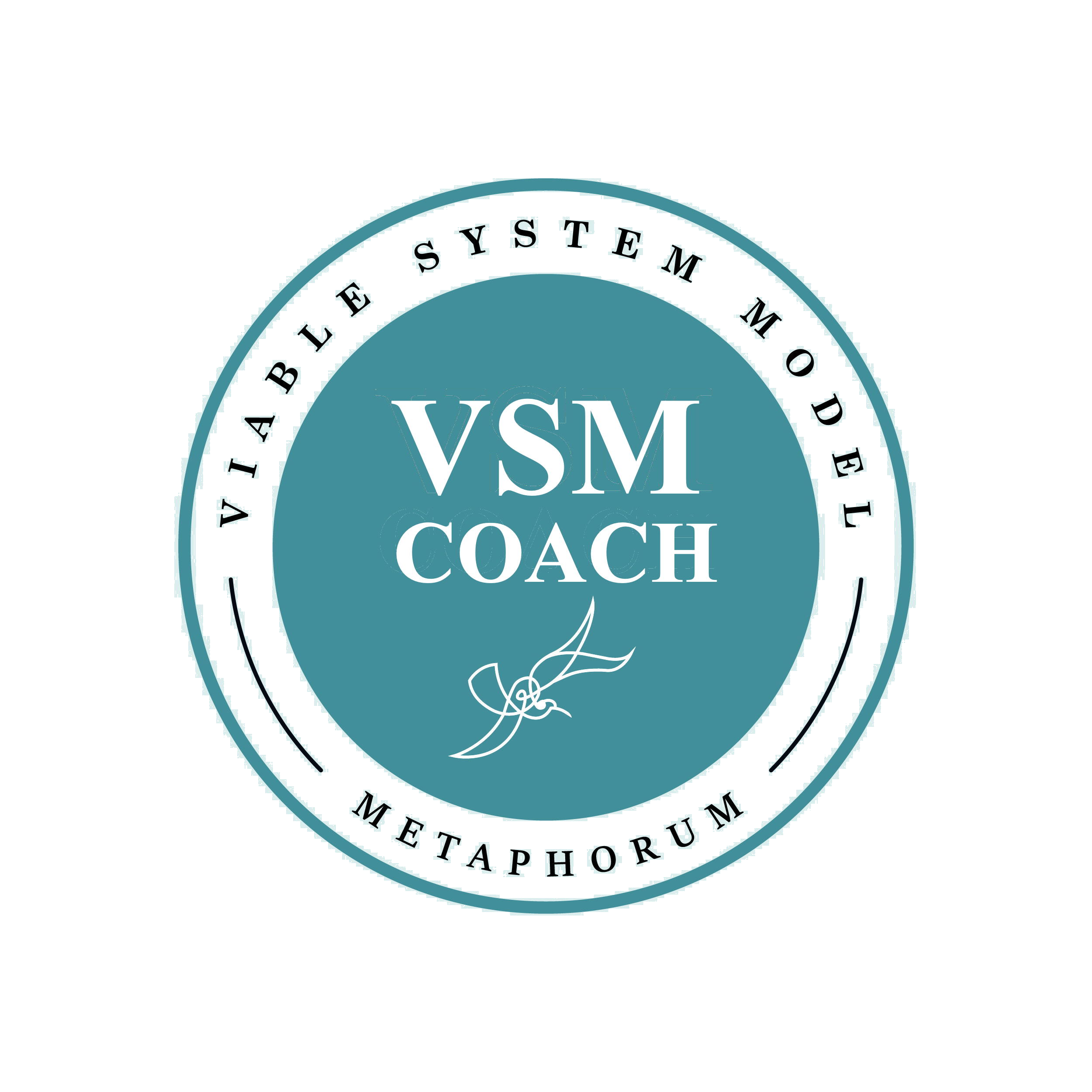 VSM Coach Metaphorum