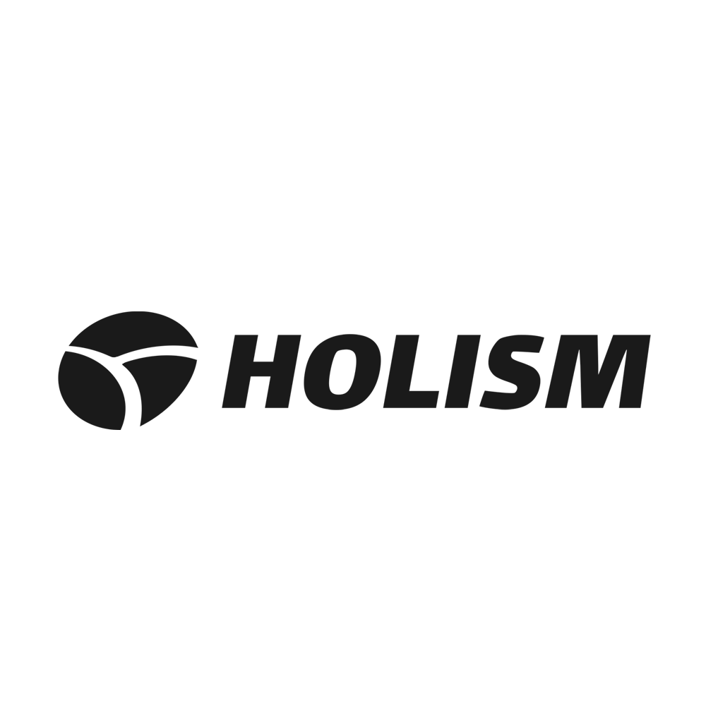 HOLISM &mdash; Organisations-Entwicklung, Projekt-Management, Coaching